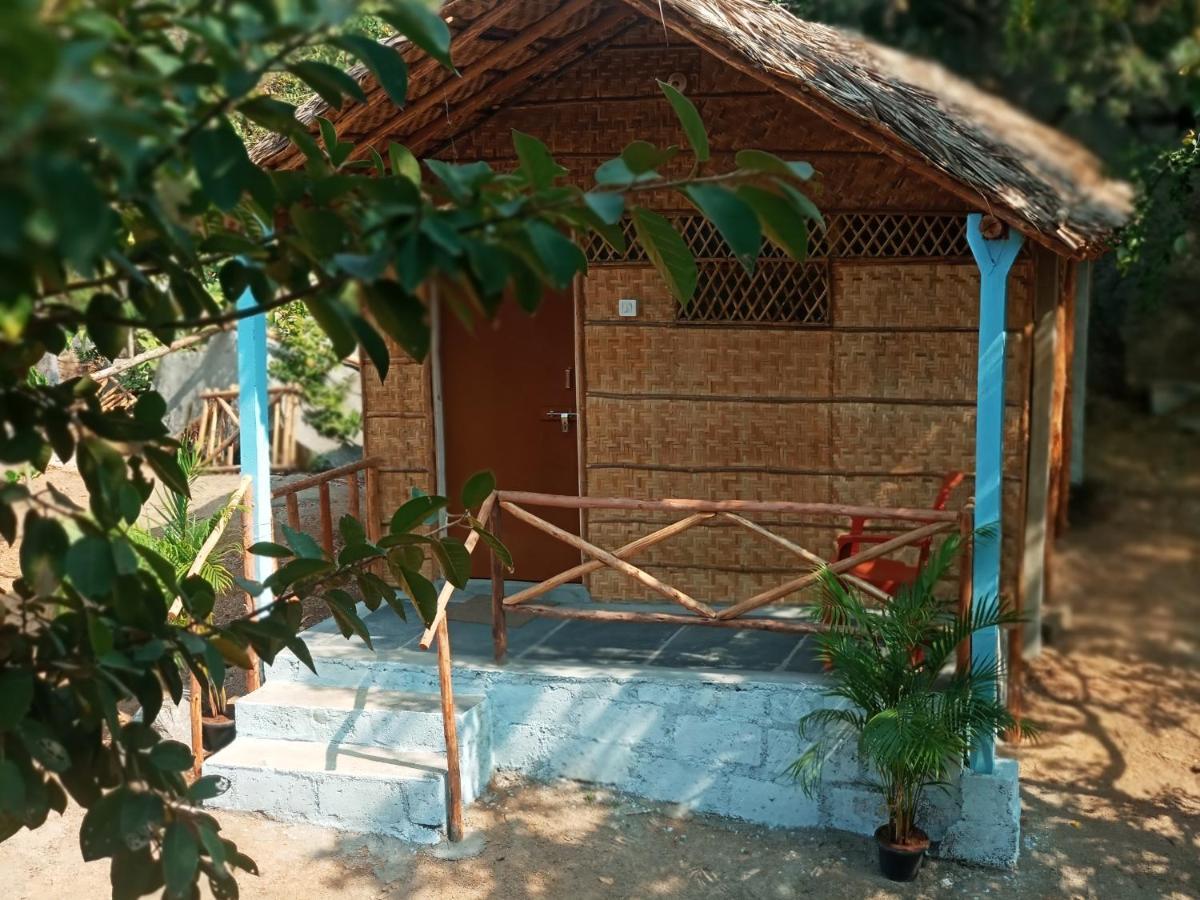 Hampi Nature Cottage Bagian luar foto