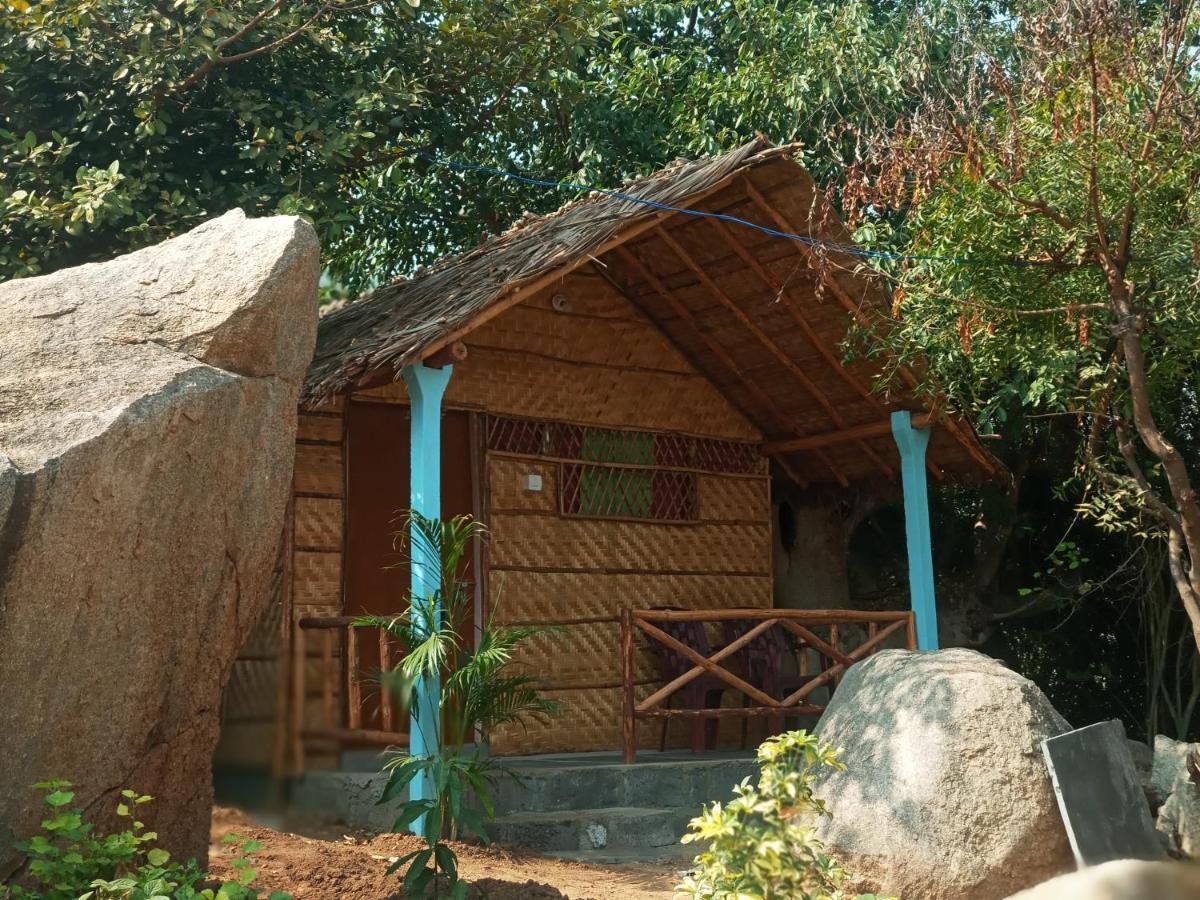 Hampi Nature Cottage Bagian luar foto