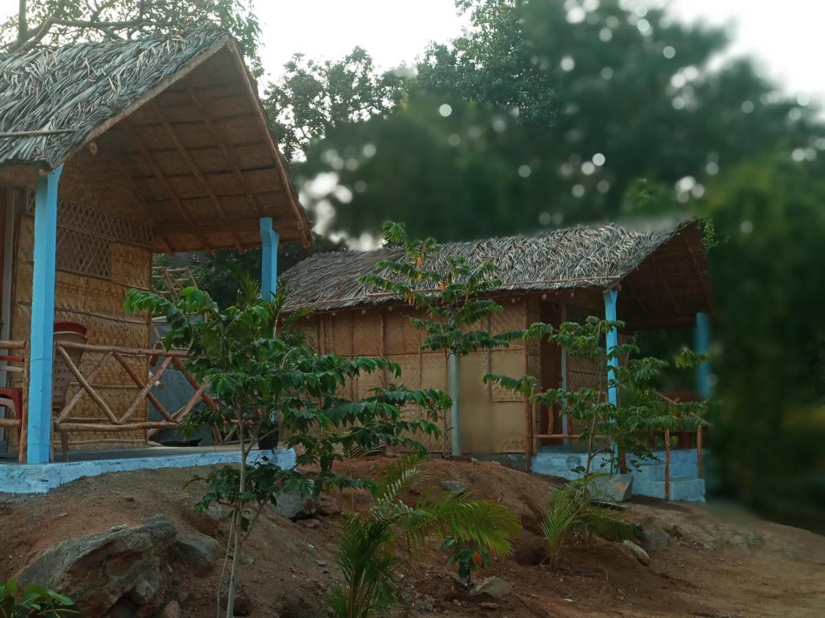 Hampi Nature Cottage Bagian luar foto