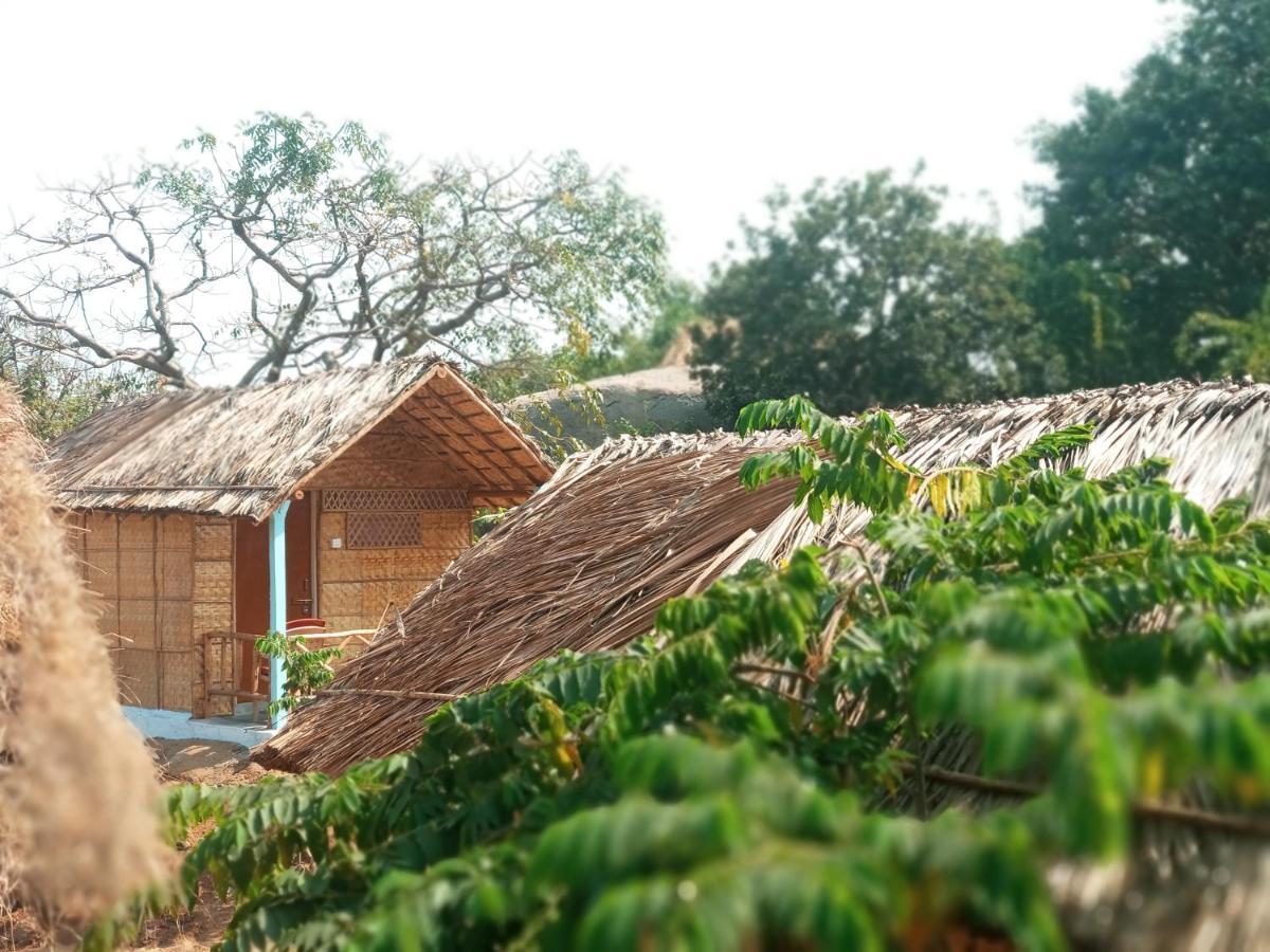 Hampi Nature Cottage Bagian luar foto
