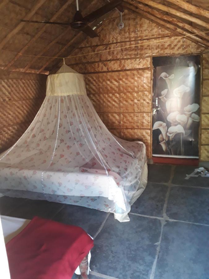 Hampi Nature Cottage Bagian luar foto